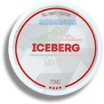 Cнюс Iceberg Mojito